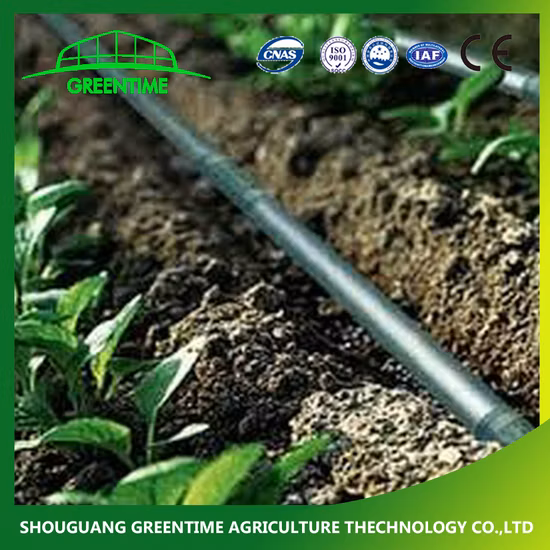 Tubo de irrigação por gotejamento embutido de 12 mm 16 mm 20 mm LDPE por atacado com gotejador redondo